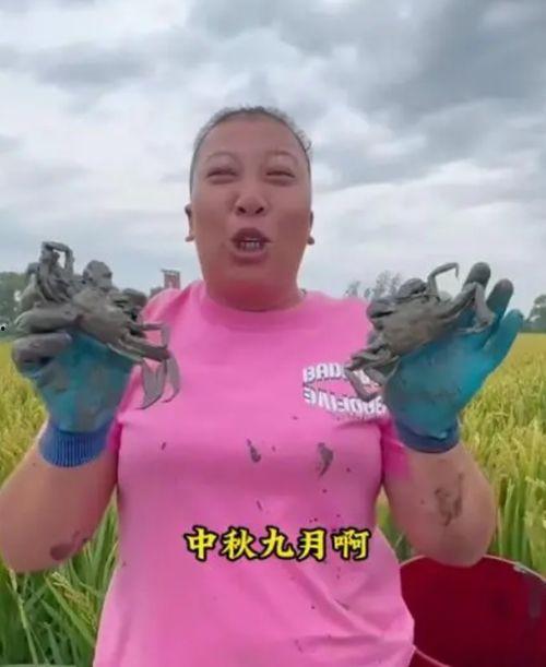 谁爆料东北雨姐的视频,揭秘网络红人的真实生活